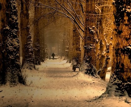Winter Walk, The Netherlands 