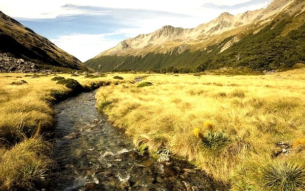An alpine flat on the sabine-travers circuit in Nelson lakes national park, New Zealand