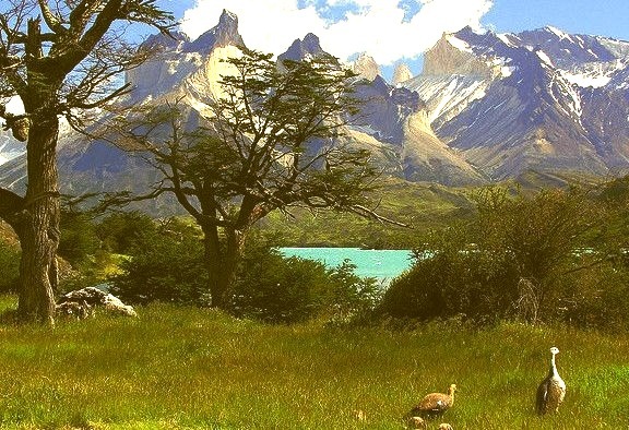 Cuernos del Paine seen from Camping Pehoe, Patagonia, Chile