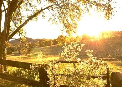 Sunrise Meadow, Fayetteville, Arkansas