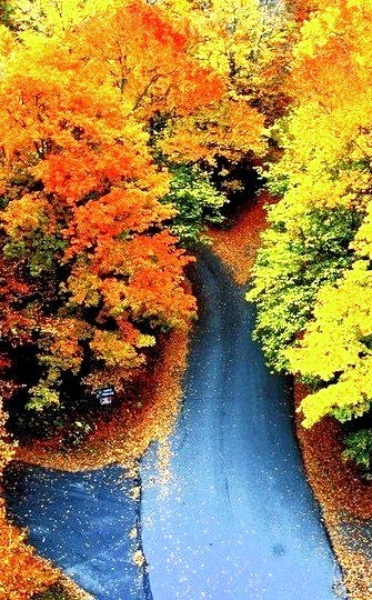 Autumn Road, Woodstock, Vermont