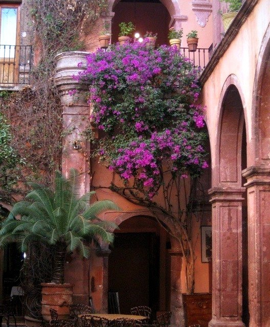 Courtyard, Guadalajara, Mexico