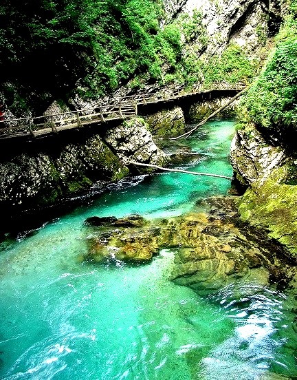 Radovna River flowing through the Vintgar Gorge, Slovenia