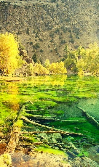 The green lakes of Naltar Valley in Karakorum Mountains, Pakistan