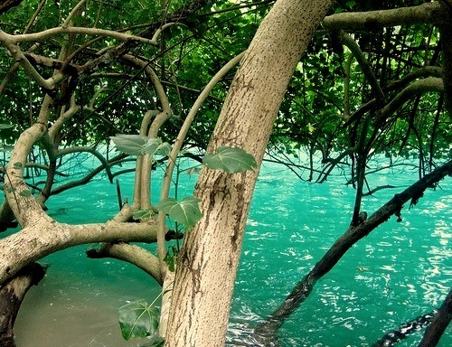 The Blue Lagoon near Port Antonio, Jamaica