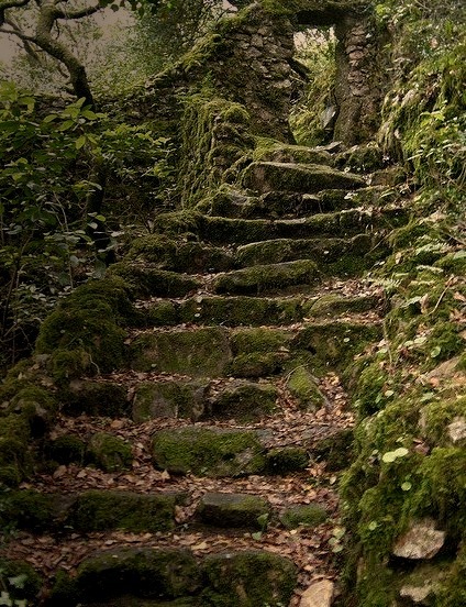 Escadaria misteriosa, Serra do Bussaco, Portugal
