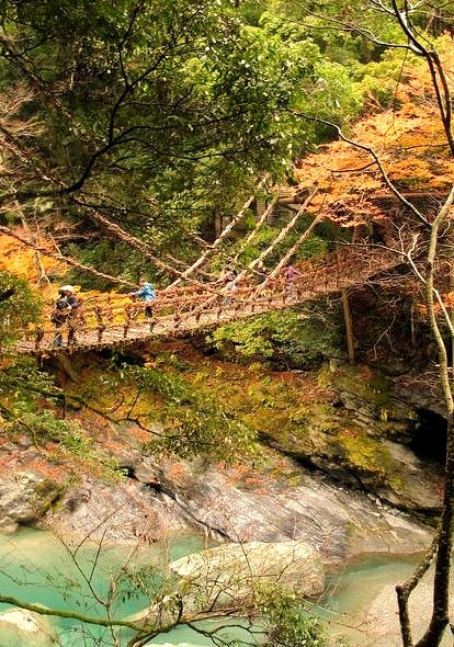 Vine bridge in Iya Valley, Shikoku, Japan