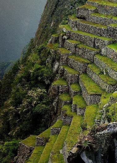 The inca terraces of Machu Picchu / Peru